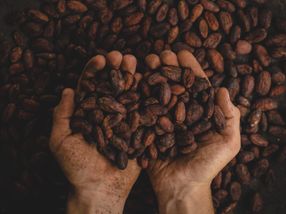 Can cocoa consumption help us age better?