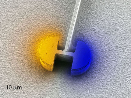 Der kleinste Mikrolaser der Welt