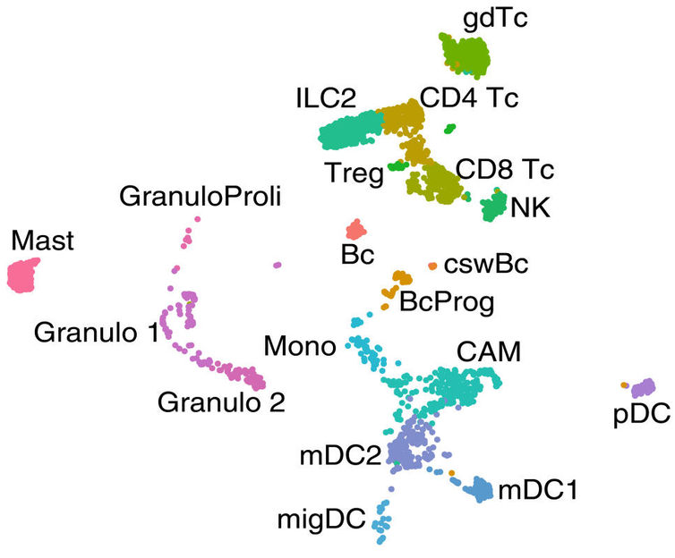 © Schafflick D, Wolbert J, Heming M et al./Nat Neurosci 2021