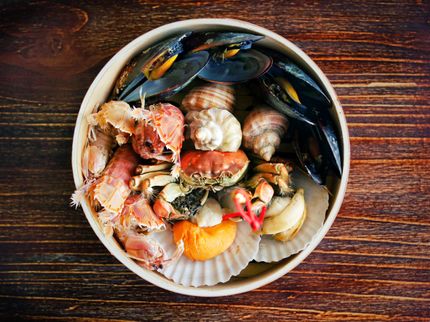 Aqua Cultured Foods bietet die weltweit erste Alternative für Meeresfrüchte mit ganzem Muskelfleisch an
