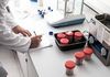 Neues, von litauischen Wissenschaftlern entwickeltes Fleischanalogon - gesünder, schmackhafter und umweltfreundlicher