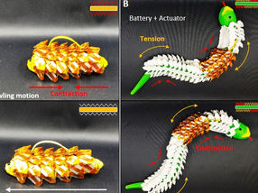 A flexible, stretchable battery capable of moving smoothly like snake scales