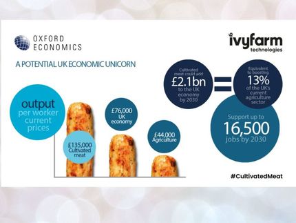 New figures show lab-grown ‘cultivated’ meat could add £2.1bn to the UK economy by 2030 – 13% of the UK’s agriculture sector