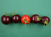 Tomates morados gracias al pigmento rojo de la remolacha