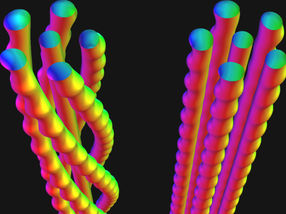 Braids of Nanovortices Discovered