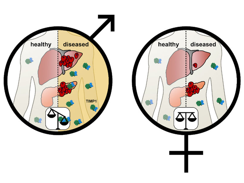 © 2021 Hermann et al. Originally published in Journal of Experimental Medicine