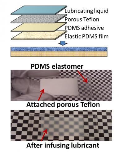 Wyss Institute at Harvard University and Harvard's School of Engineering and Applied Sciences (SEAS)
