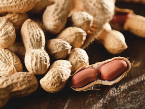 The study shows the potential benefits of the daily intake of peanut products on the improvement of the cognitive function and stress response in a young and health population.