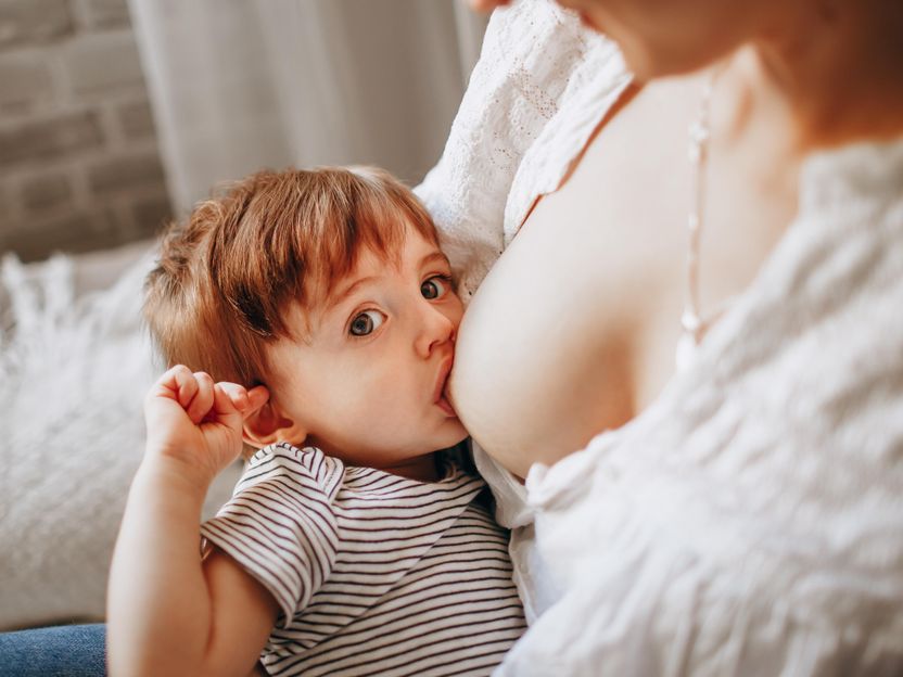 Photo by <a href="https://unsplash.com/@wildlittlethingsphoto?utm_source=unsplash&utm_medium=referral&utm_content=creditCopyText">Helena Lopes</a> on <a href="https://unsplash.com/s/photos/breast-feeding?utm_source=unsplash&utm_medium=referral&utm_content=creditCopyText">Unsplash</a>