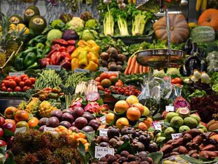 Wenn die Hälfte der Kinderteller mit Obst und Gemüse gefüllt wird, steigt der Konsum