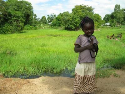 Launch of semi-synthetic artemisinin a milestone for malaria