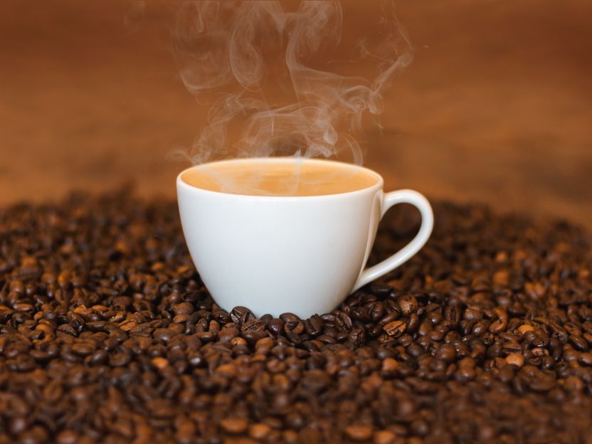 Kaffee und die Auswirkungen des Klimawandels - Eine Gemeinschaftsstudie untersucht, wie sich die veränderten Klimabedingungen auf den Geschmack, das Aroma und die Gesamtqualität von Kaffee auswirken könnten