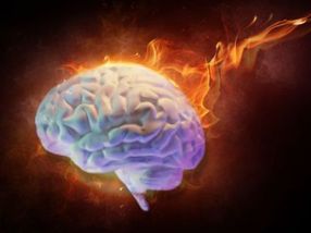 How the "thermostat" in the brain measures impending overheating