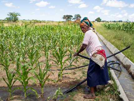 Ein Bauer im südlichen Afrika