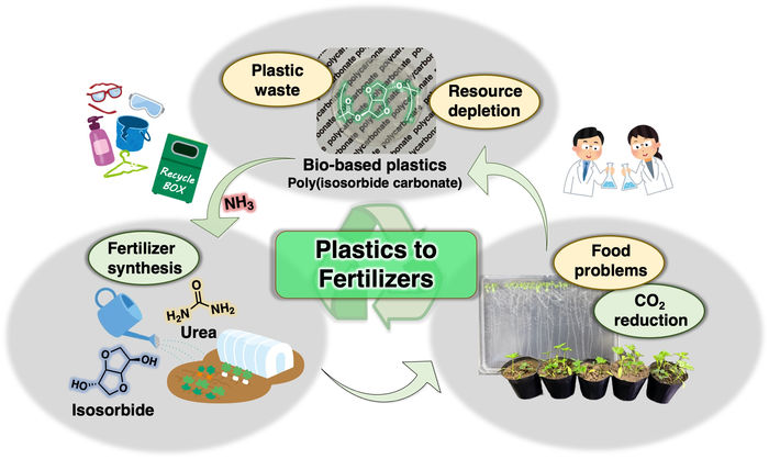 Plant from plastics? - Bio-based polymers can be transformed into fertilizer