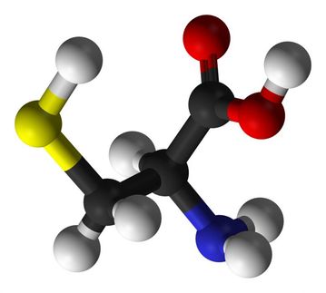 Oxidantien an den Schalthebeln der Zelle