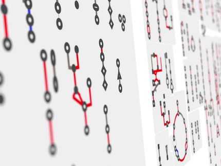 Apparently, opposites attract in bacteria as well