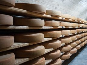 Erfolg für Österreich bei den diesjährigen World Cheese Awards