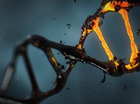 Neue prognostische Biomarker und krebsfördernde Gene in der dunklen Materie des Krebsgenoms gefunden