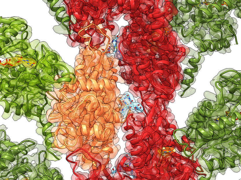 MPI of Molecular Physiology