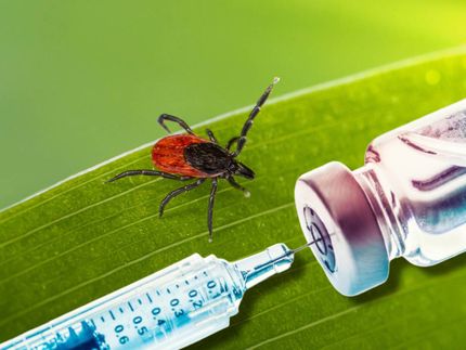 Novel Lyme vaccine shows promise