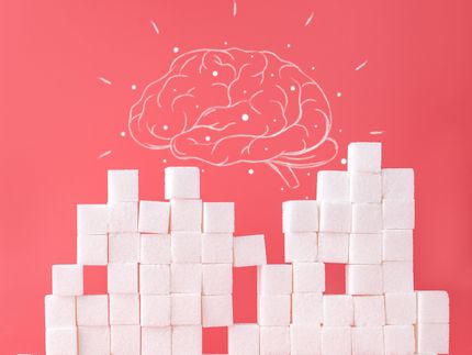 Studie deckt Zusammenhang zwischen Zucker und Hirnerkrankungen auf