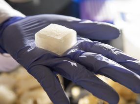 Investigadores de la UC Davis han desarrollado un nuevo cubo refrigerante para reducir la contaminación cruzada. No se derrite, es compostable y no contiene plástico.