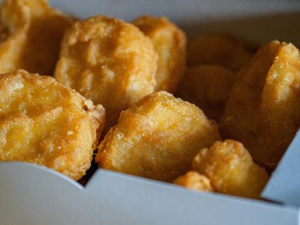 Hühner-Nuggets: Enttäuschende Ergebnisse bei Check des beliebten Kindersnacks