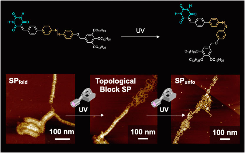 Polymers with Helical Blocks - Forming domains in supramolecular polymers using UV irradiation