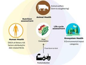 Konzept: In der Studie wurden vier Ernährungsformen hinsichtlich ihrer Auswirkungen auf die Gesundheit, die Umwelt und das Tierwohl miteinander verglichen.