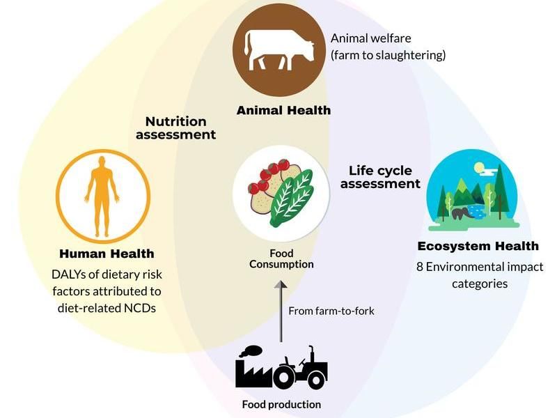 The Life Cycle of a Meal  Download Scientific Diagram