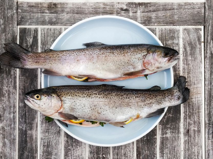 6 Mythen über Lachs: Was stimmt wirklich?