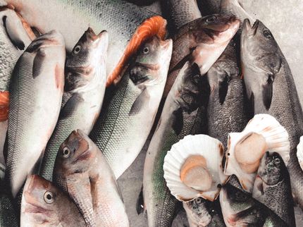 We prefer farmed salmon – as long as we don't know what we're eating