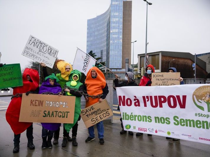 Proteste gegen Patentierung - In Genf haben verschiedene Organisationen eine Protestaktion gegen die Monopolisierung von Saatgut durchgeführt