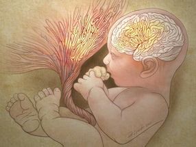 Autism risk spotted at birth in abnormal placentas