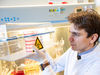 Rapid therapeutic approaches against viral diseases