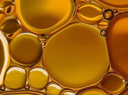 Wie der Körper Fett zur Bekämpfung von Infektionen einsetzt