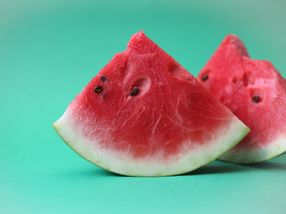 Einspruch gegen Patent auf Wassermelonen