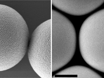 Partículas de microplástico supuestamente similares muestran diferentes niveles de toxicidad