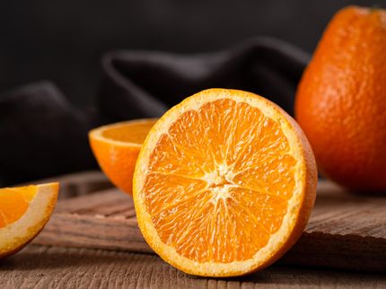 Verdorbene Orangen bringen Licht ins Dunkel bösartiger Zellen