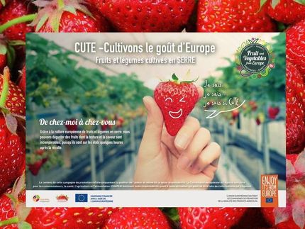 Graphic of the campaign "CuTE: Cultivating the Taste of Europe"