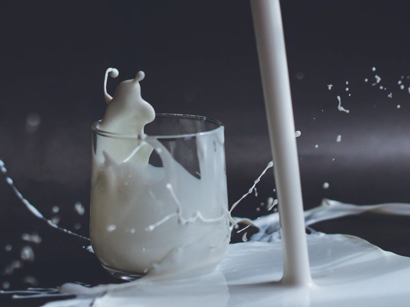 "Trink deine Erbsen!" - Vorteile der Ergänzung von Kuhmilch mit pflanzlichem Eiweiß - Neue Forschungsergebnisse im Journal of Dairy Science® zeigen Möglichkeiten für innovative, nahrhafte Milchprodukte auf