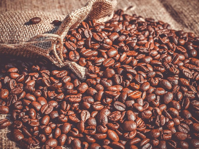 VKI-Test Kaffee: Bio- und Fairtrade-Produkte liegen vorne - 22 Produkte im Test: Mehrheitlich erfreuliche Ergebnisse