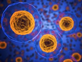 Vieja proteína - nueva función: la tBID puede desencadenar directamente la muerte celular