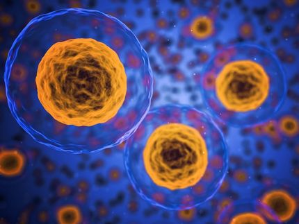 Vieja proteína - nueva función: la tBID puede desencadenar directamente la muerte celular