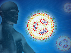 Optimización de las nanopartículas que contienen ARNm
