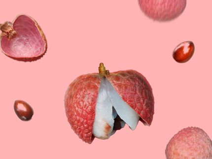 El genoma del lichi cuenta una colorida historia sobre una colorida fruta tropical