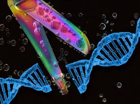 Bayer und Mammoth Biosciences kooperieren bei innovativer Gen-Editierung-Technologie