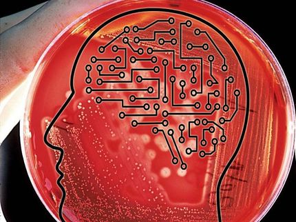 Staphylococcus aureus forms spreading dendrites that have characteristics  of active motility