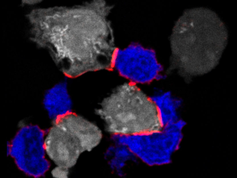 J. Lötscher et al., Cell (2022)